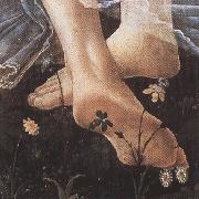 Sandro Botticelli Details of Primavera (mk36) oil painting